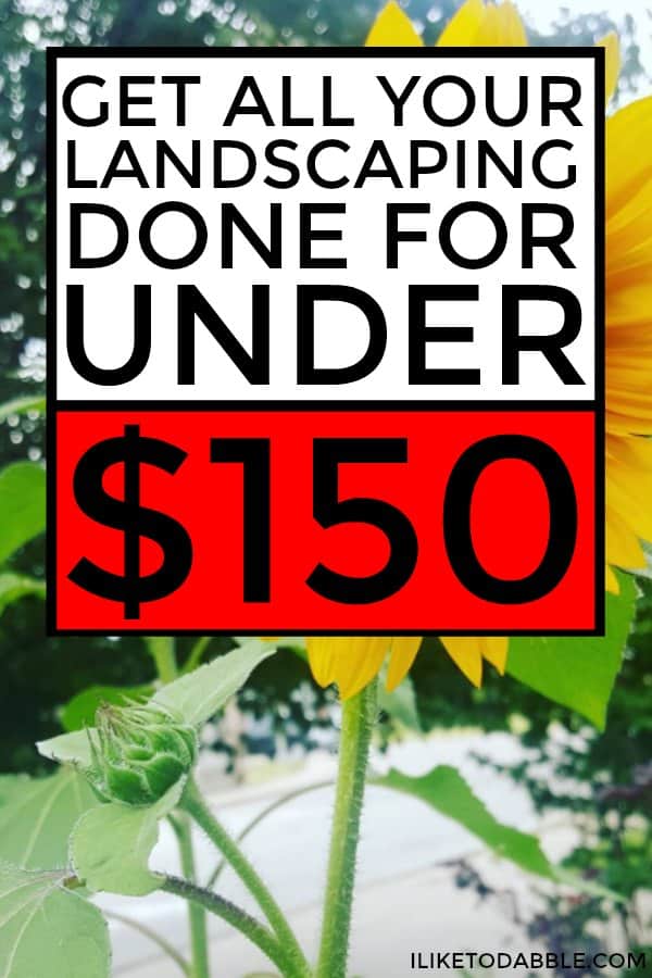 Tips for diy yard cleanup and landscaping on a budget for under $150. Landscaping on a budget. Budgeting tips. Frugal and thirfty living. Saving money. Home and garden. Home improvement. #budgetingtips #homeandgarden #yardcleanup #landscaping #landscapingforcheap