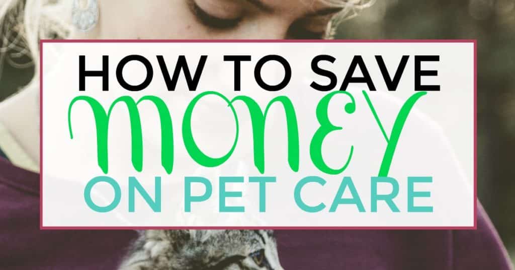image of woman in background with cat. blog post titled "how to save money on pet care"