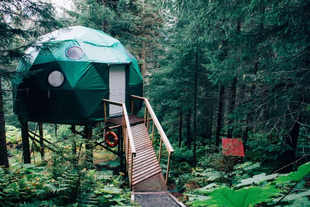 image of igloo tent in the middle of a forest