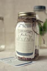 terrarium kit creative gift ideas image