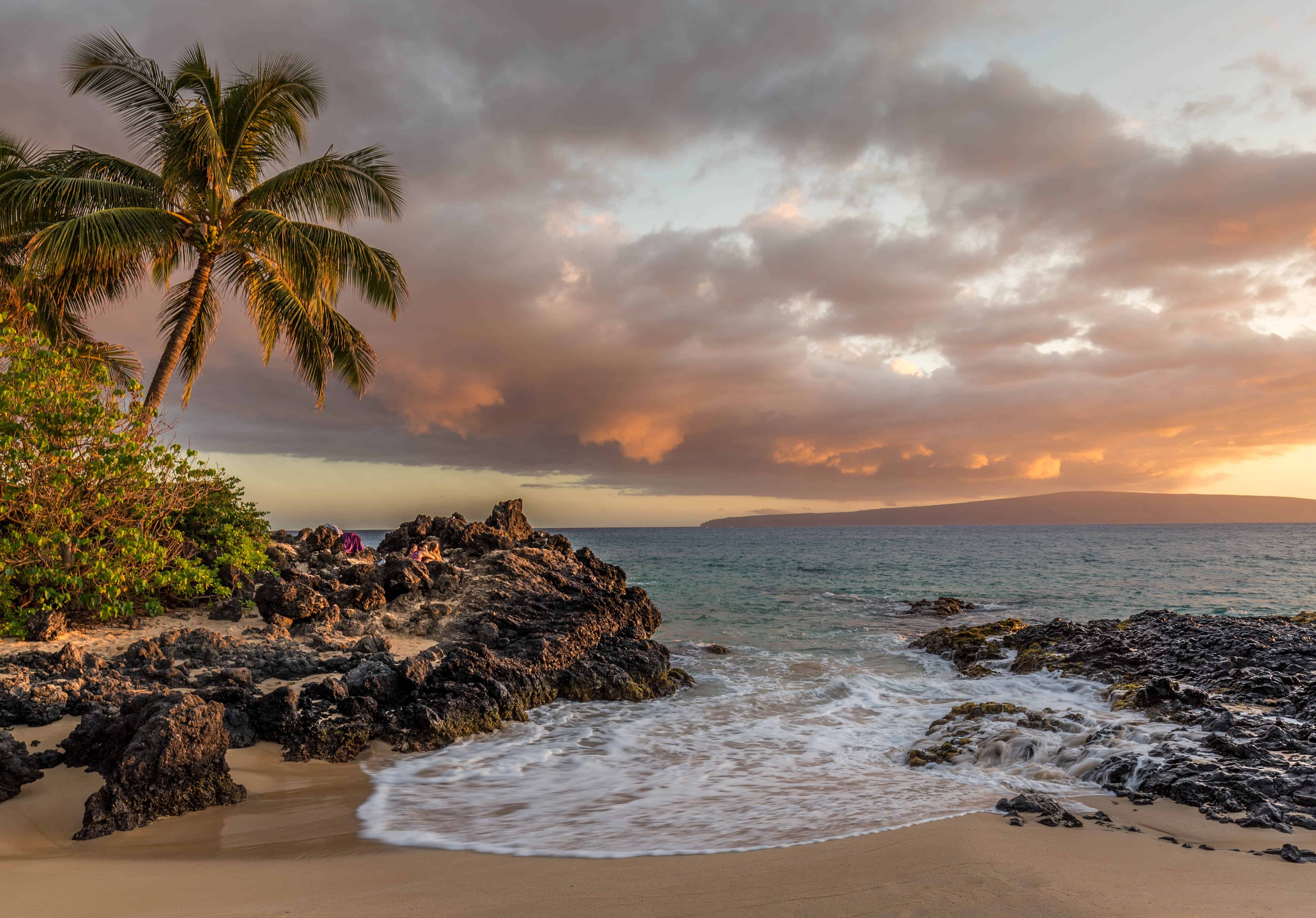 Beach scene with palm trees and rocks.