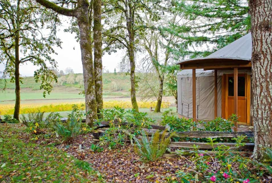 Oregon Clamping Yurt for rent on airbnb