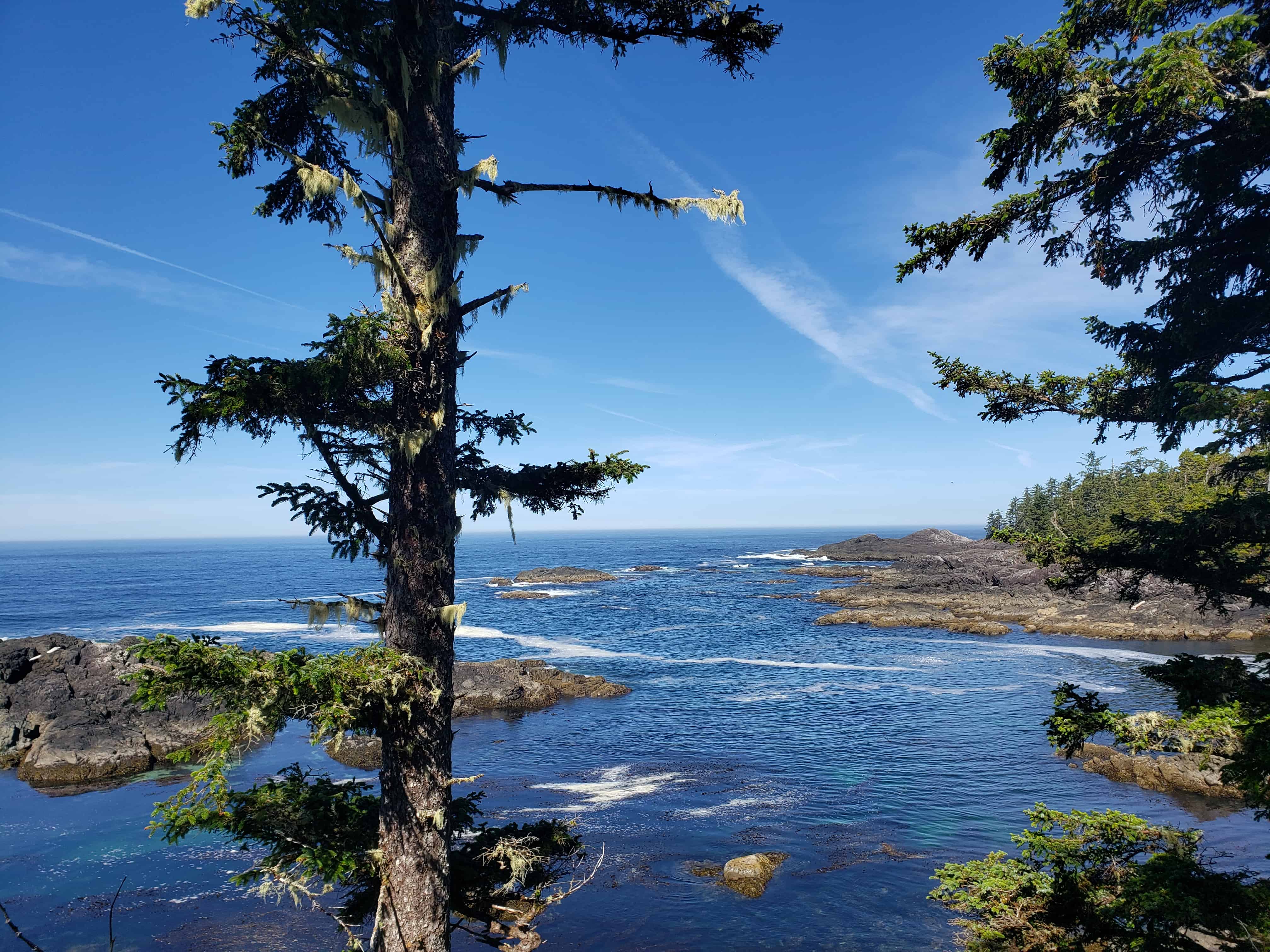 Pacific Rim in Vancouver Island, BC