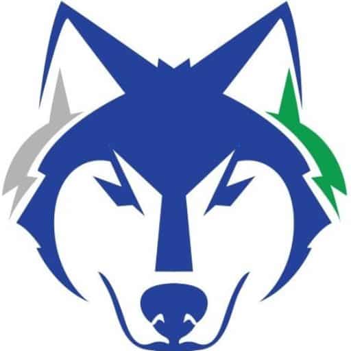 Financial Wolves Logo Image