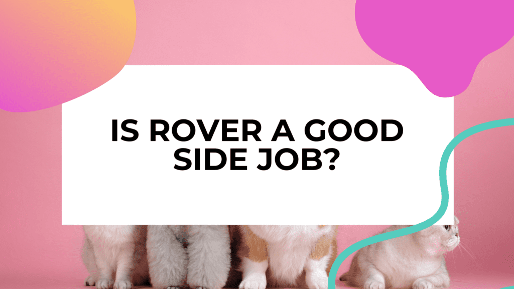 Image of cats and dogs against a pink background with tite text overlay that reads: is rover a good side job?