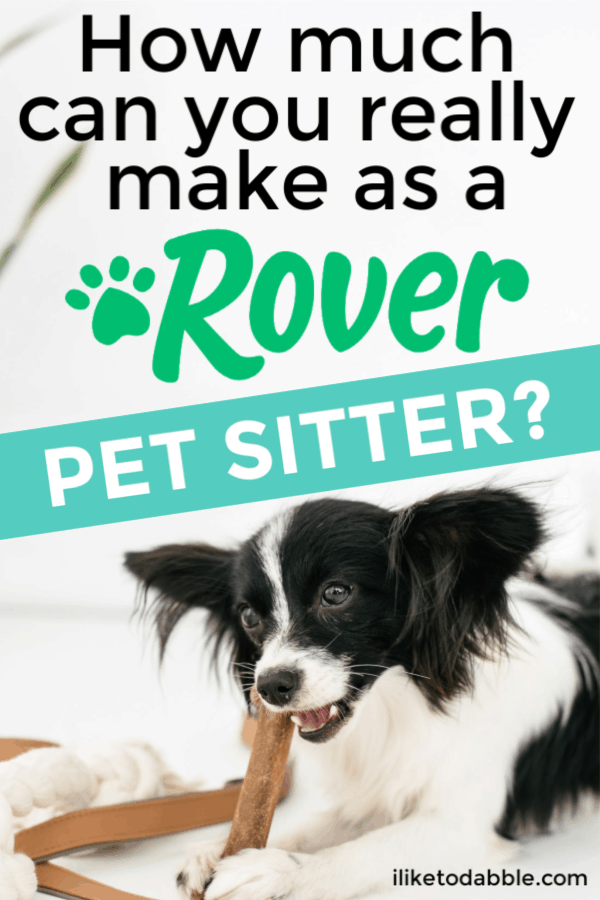How much can you really make as a Rover pet sitter? Find out in this personal Rover sitter review of mine from my own experience. Image of dog in bed chewing on a bone. #rover #petsitting #dogwalking #makemoney #sidehustle #sidehustles #moneymakingapps #roverapp #roverreview