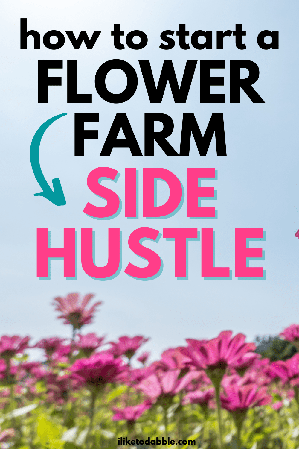 how-to-start-a-flower-farm-b-side-farm